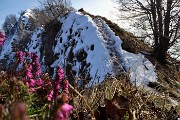 Monte Suchello (1541 m) da Aviatico (1080 m) il 20 febbraio 2019 - FOTOGALLERY